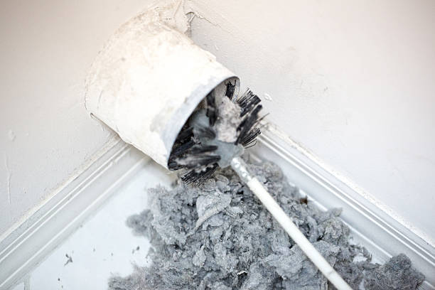 Air Duct Mold Removal in Kerrville, TX